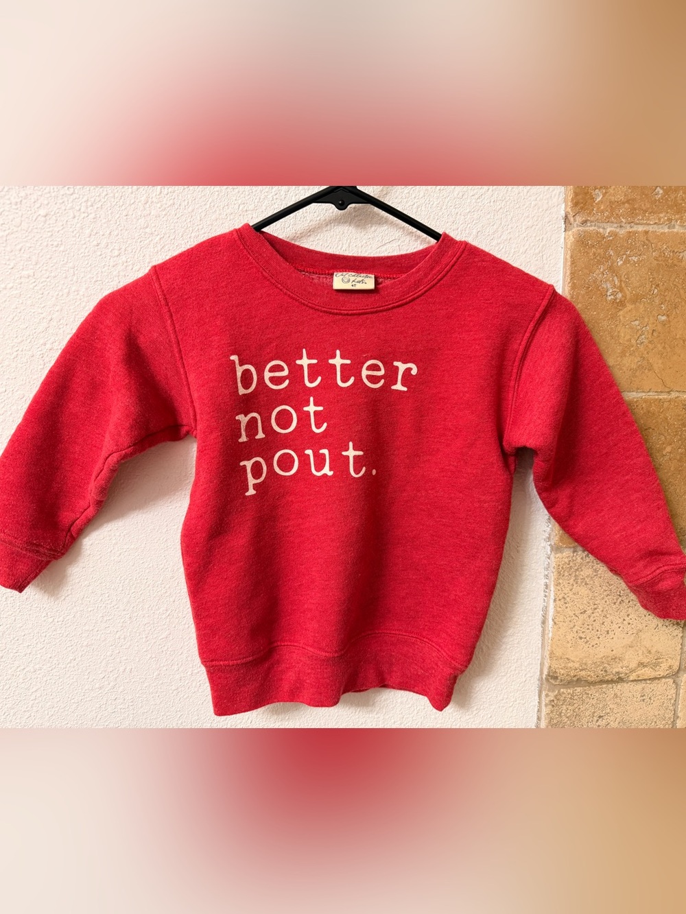 Holiday Cozy Crewneck